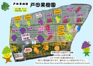 戸田果樹園園内map