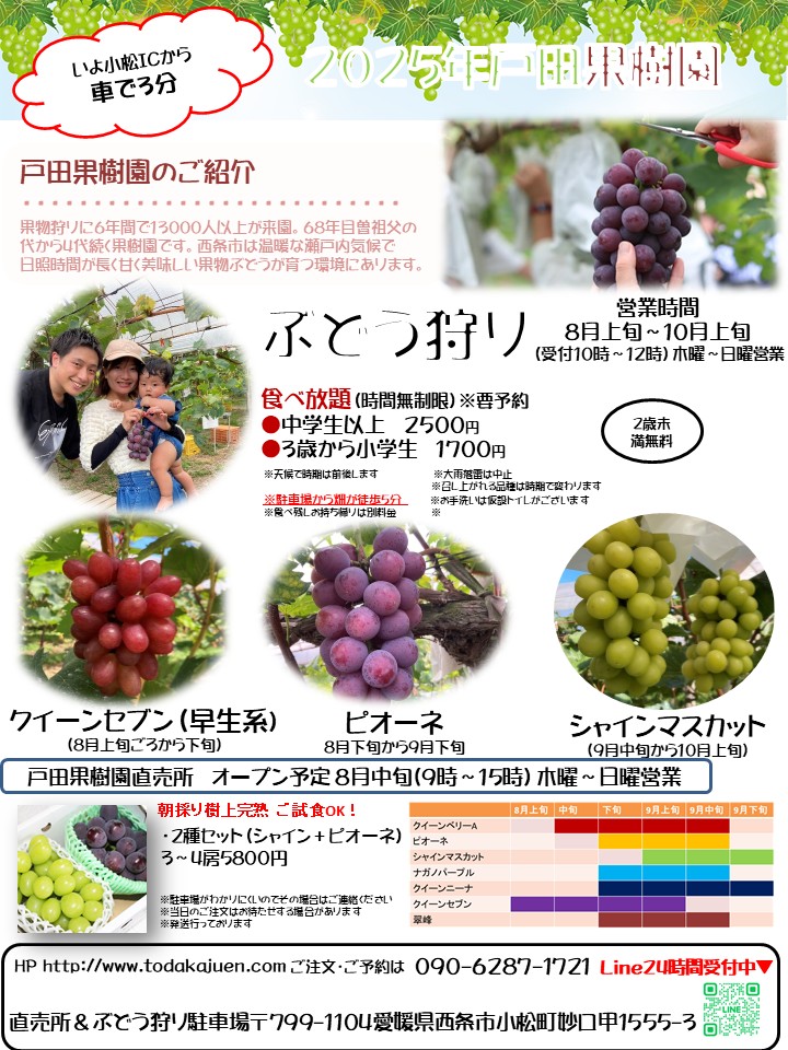 2025年ぶどう狩り愛媛